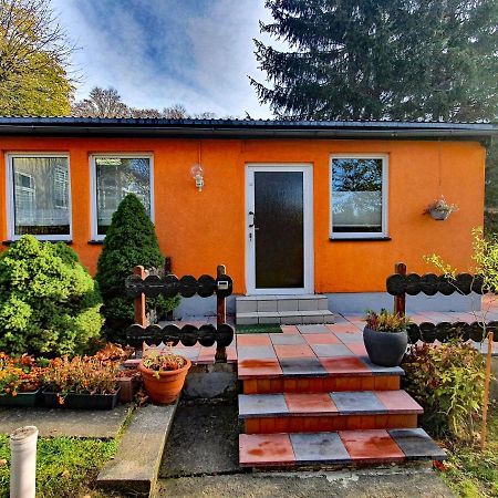 Ferienhaus Petra Elbingerode  Dış mekan fotoğraf
